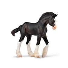 COLLECTA Colt Clydesdale - črna