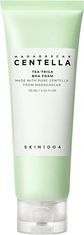 Skin1004 Globinsko čistilna pena za aknasto kožo Madagascar Centella (Tea-Trica BHA Foam) 125 ml