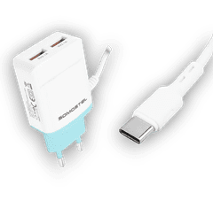 Infostyle Komplet hišni polnilec s kablom USB C - zeleno-bela