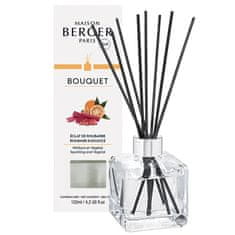 Maison Berger Paris Aroma difuzor Cube Rhubarb Radiance 125 ml