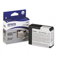 Epson T580 Light Light Black (80 ml) C13T580900