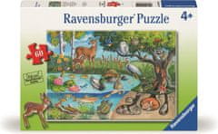 Ravensburger Sestavljanka Živali na zemlji in pod njo - skrivnosti narave 60 kosov