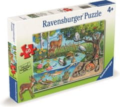 Ravensburger Sestavljanka Živali na zemlji in pod njo - skrivnosti narave 60 kosov