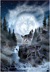 AnaTolian Moon Wolf Puzzle 500 kosov