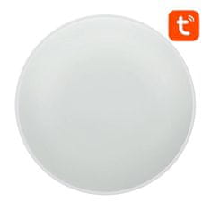 Gosund 24W pametna LED WiFi nadometna svetilka 32cm RGBCW Tuya Alexa Google assistant