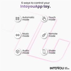 INTOYOU VIBRATOR ZA PARE Intoyou App Series Couty