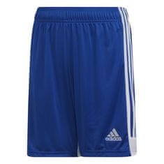 Adidas Hlače obutev za trening modra 159 - 164 cm/L Tastigo 19