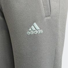 Adidas Hlače obutev za trening siva 159 - 164 cm/L H16905