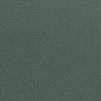 Carrello Športni voziček Nova Rainforest Green