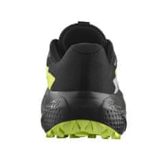Salomon Čevlji obutev za tek 45 1/3 EU Alphaglide Gtx