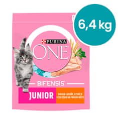 Purina ONE ONE Bifensis Junior s piščancem in polnozrnatimi žiti, 8x800 g