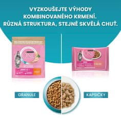 Purina ONE ONE Bifensis Junior s piščancem in polnozrnatimi žiti, 8x800 g