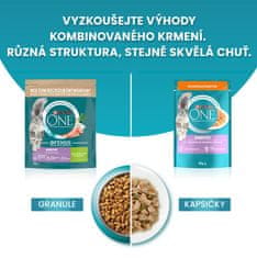 Purina ONE ONE Bifensis Sensitive s puranom in rižem, 8x800 g