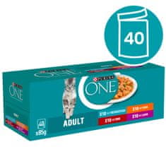 Purina ONE ONE mačja hrana, 40x85 g