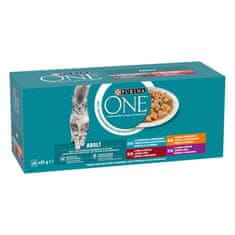 Purina ONE ONE mačja hrana, 40x85 g