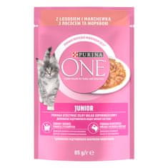 Purina ONE JUNIOR losos v soku 26×85 g