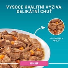 Purina ONE Junior mini vrečke za mačke, mini fileji z lososom in korenjem v soku, 48 x 85 g