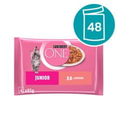 Purina ONE Junior mini vrečke za mačke, mini fileji z lososom in korenjem v soku, 48 x 85 g