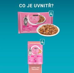 Purina ONE Junior mini vrečke za mačke, mini fileji z lososom in korenjem v soku, 48 x 85 g