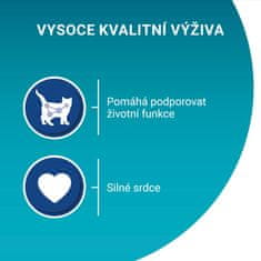 Purina ONE Senior 7+ mini fileji z govedino in korenjem v soku, 48 × 85 g