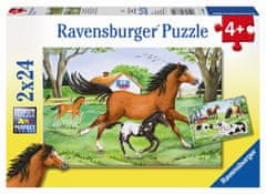 Ravensburger sestavljanka Svet konjev, 2 x 24-delna