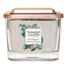 Yankee Candle Sveča v stekleni vazi , Eksotični bergamot, 347 g