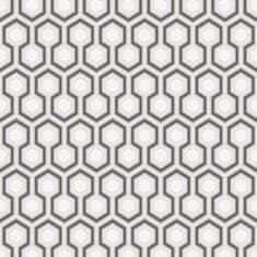 Cole & Son Ozadje HICKS HEXAGON 8055, NOVA SODOBNA kolekcija