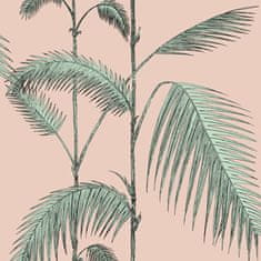 Cole & Son Ozadje PALM LEAVES 2005, kolekcija ICONS