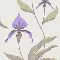 Cole & Son Ozadje ORCHID 4024, kolekcija NOVO SODOBNO