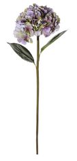 Shishi Vijolična hortenzija 90 cm