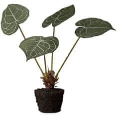 Lene Bjerre Umetna rastlina Colocasia v krogli