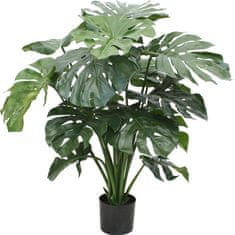 A La Maison Umetna rastlina MONSTERA DELUXE, 100 cm