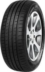 Minerva 205/55R16 91W MINERVA F209