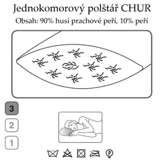 Ch. Fischbacher Vzglavnik CHUR 65 x 100 cm iz gosjega puha v svileni paisley