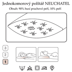 Ch. Fischbacher Vzglavnik NEUCHATEL 60 x 80 cm iz gosjega puha v bombažu