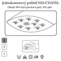 Ch. Fischbacher Vzglavnik NEUCHATEL 60 x 60 cm iz gosjega puha v bombažu