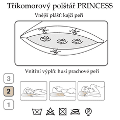 Ch. Fischbacher Vzglavnik PRINCESS 60 x 80 cm iz gosjega in račjega perja v svileni paisley