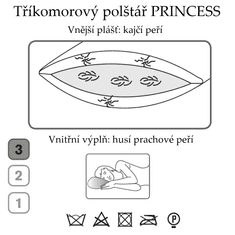 Ch. Fischbacher Vzglavnik PRINCESS 65 x 100 cm iz gosjega in zmajevega perja iz gladke svile