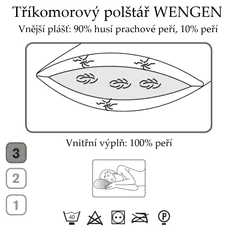 Ch. Fischbacher Vzglavnik WENGEN 40 x 60 cm iz gosjega puha v bombažu