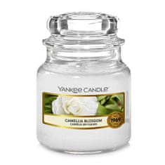 Yankee Candle Sveča v steklenem kozarcu , Cvet kamelije, 104 g