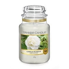 Yankee Candle Sveča v steklenem kozarcu , Cvet kamelije, 623 g