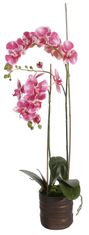 Shishi Vijolična orhideja s cvetličnim lončkom 90 x 40 cm