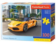 Castorland Puzzle Arrinera Hussarya 33, 100 kosov