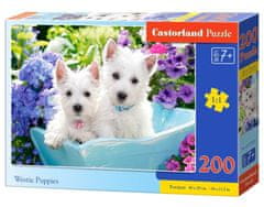 Castorland Puppies West Highland Terrier Puzzle 200 kosov