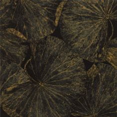 ZOFFANY Ozadje TAISHO DECO VINE BLACK 312750, kolekcija MUSE