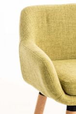 BHM Germany Grane barski stolček (SET 2 kosa), svetlo zelena