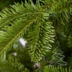 Božično drevo Kavkaška jelka 250 cm