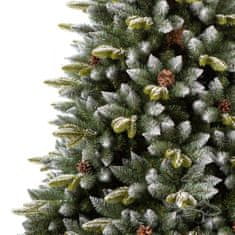 Božično drevo Pirenejska smreka 250 cm
