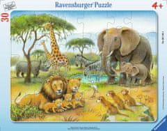Ravensburger Afriške živali Puzzle 30 kosov