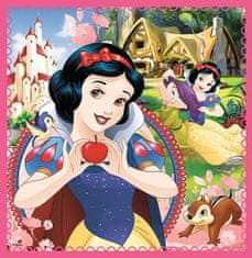 Trefl Puzzle Disneyjeve princese: čarobni svet 3v1 (20,36,50 kosov)